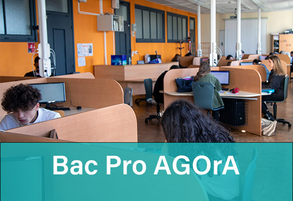 Bac Pro AGOrA